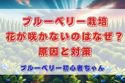 ブルーベリー　花が咲かないのはなぜ！？